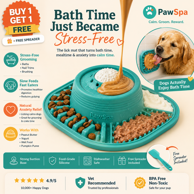 PawSpa Slow Feeder