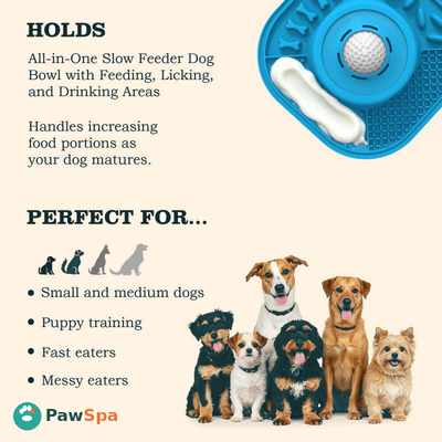 PawSpa Slow Feeder